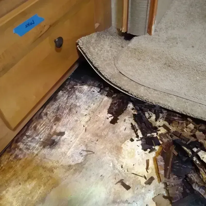 Wood Floor Water Damage in Kronenwetter, WI